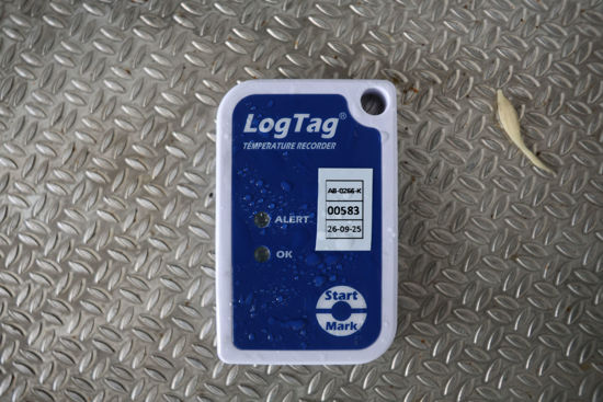 2020 MODEL ISUZU TORA LONG 6 TEKER ET KANCALI LİFLİ TERMOKİNG SOĞUTUCULU YATAKLI  KAMYON