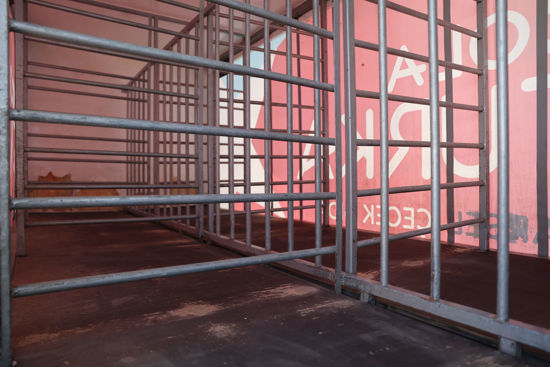 2025 MODEL NPR 3D ÇİFT YÖN KAYAR PERDELİ  MEŞRUBAT KASALI KAMYON